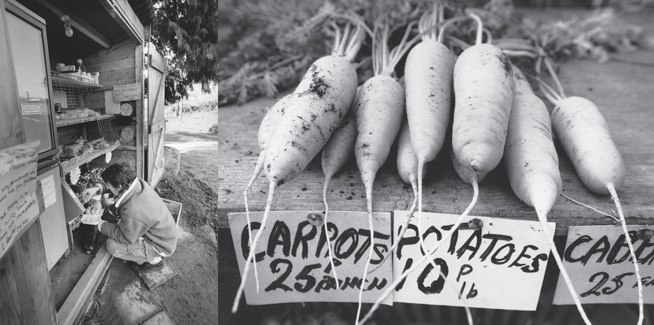 Eating England / Mitchell Beazley - Photographs by Jill Mead