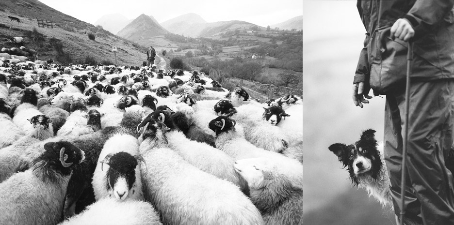 Eating England / Mitchell Beazley - Photographs by Jill Mead