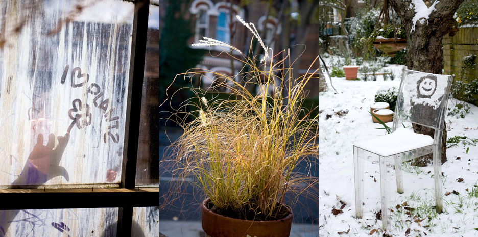 Sweet Peas for Summer / Bloomsbury - Photographs by Jill Mead