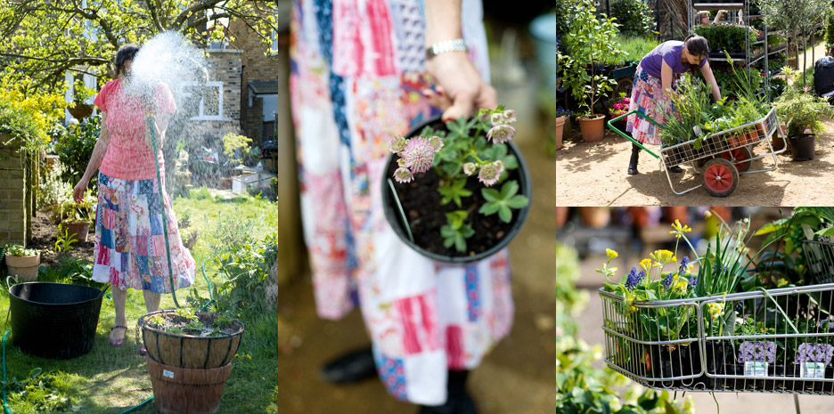 Sweet Peas for Summer / Bloomsbury - Photographs by Jill Mead