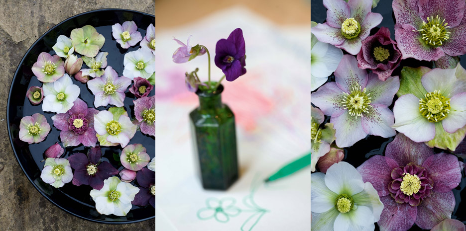 Sweet Peas for Summer / Bloomsbury - Photographs by Jill Mead