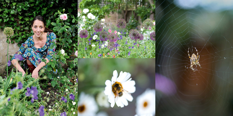 Sweet Peas for Summer / Bloomsbury - Photographs by Jill Mead