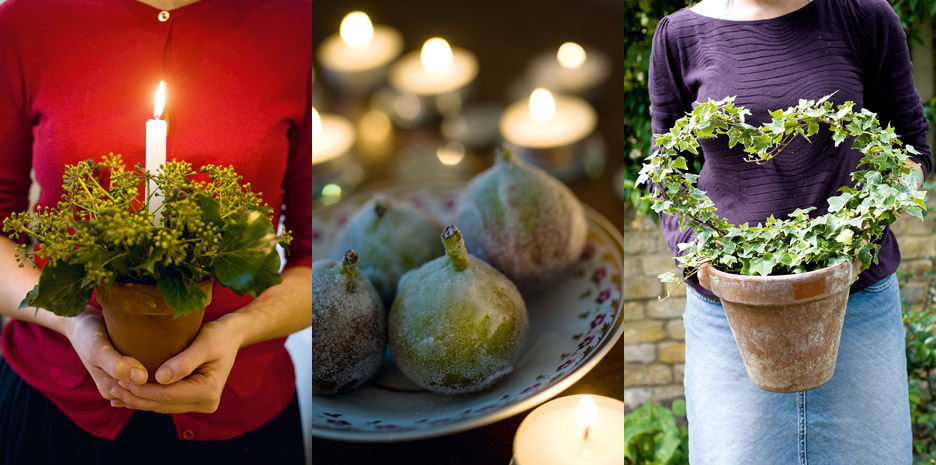 Sweet Peas for Summer / Bloomsbury - Photographs by Jill Mead