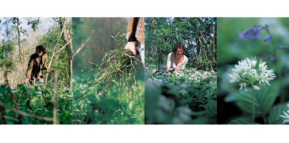 The Wild Gourmets / Bloomsbury - Photographs by Jill Mead