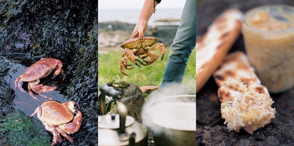 The Wild Gourmets / Bloomsbury - Photographs by Jill Mead