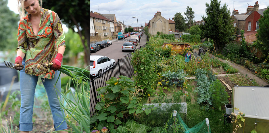 New Urban Farmer / Quadrille - Photographs by Jill Mead