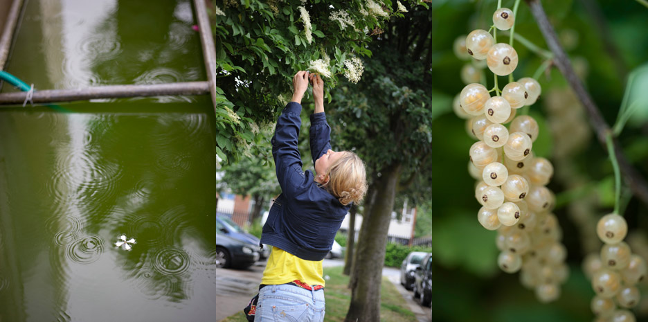 New Urban Farmer / Quadrille - Photographs by Jill Mead