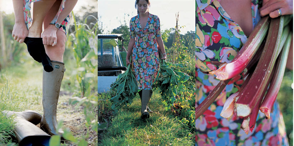 The Virgin Gardener / Bloomsbury - Photographs by Jill Mead