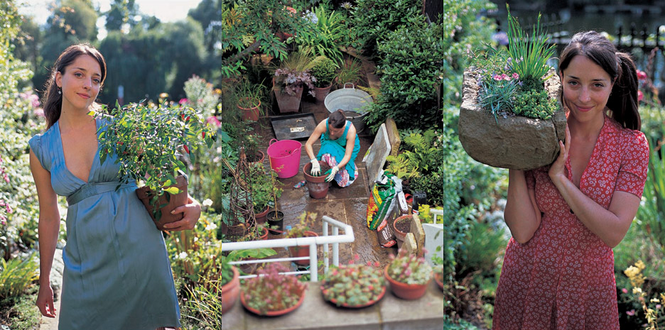 The Virgin Gardener / Bloomsbury - Photographs by Jill Mead