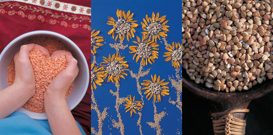 Wonderfoods for kids / Quadrille - Photographs by Jill Mead