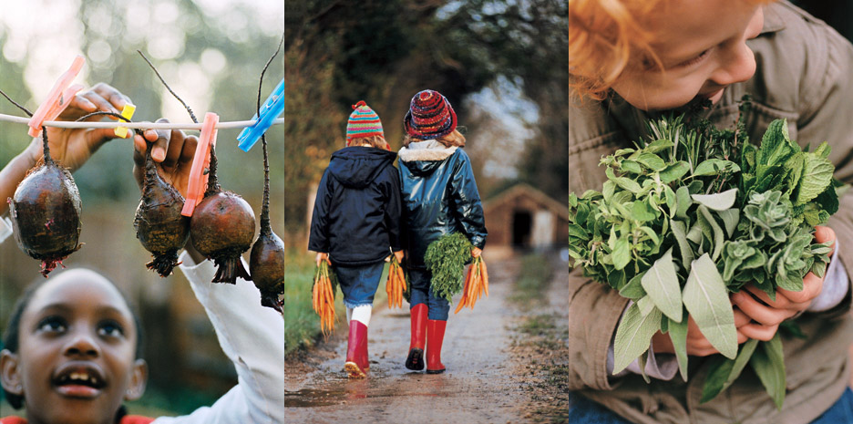 Wonderfoods for kids / Quadrille - Photographs by Jill Mead