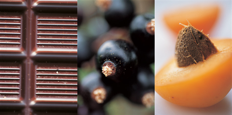 Wonderfoods / Quadrille - Photographs by Jill Mead