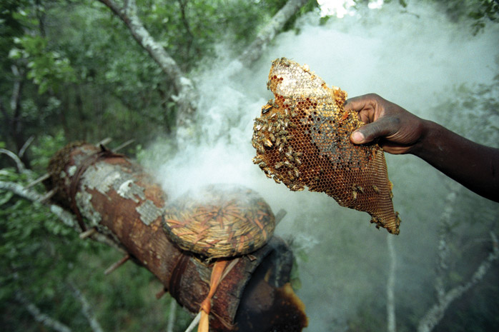 Body Shop / Zambia - Photograph by Jill Mead