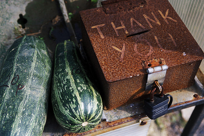 Photograph by Jill Mead