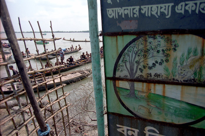 Bangladesh honey hunt - Photograph by Jill Mead