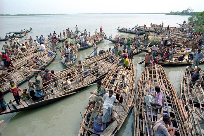 Bangladesh honey hunt - Photograph by Jill Mead