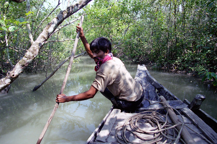 Bangladesh honey hunt - Photograph by Jill Mead