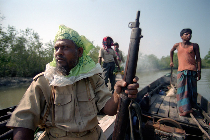 Bangladesh honey hunt - Photograph by Jill Mead