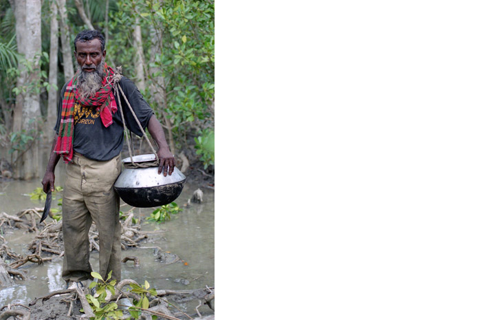 Bangladesh honey hunt - Photograph by Jill Mead