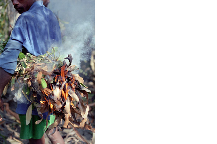 Bangladesh honey hunt - Photograph by Jill Mead