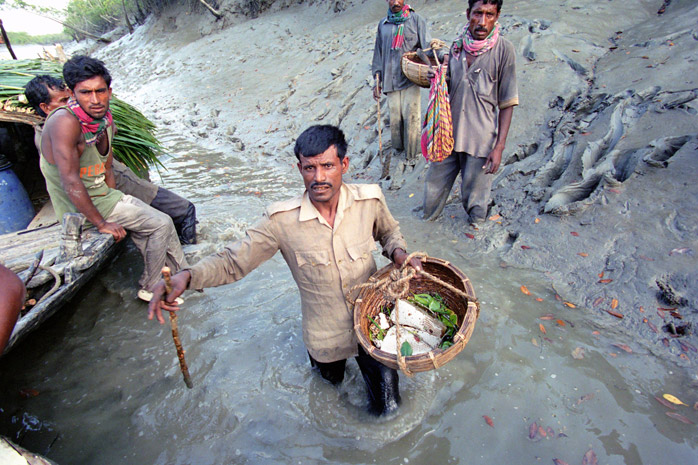 Bangladesh honey hunt - Photograph by Jill Mead