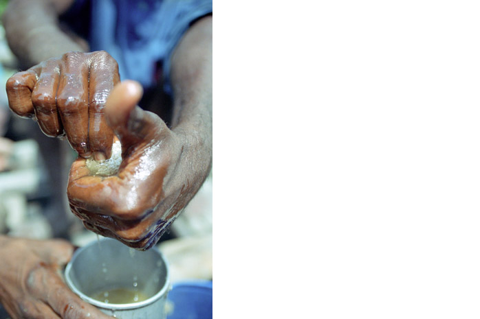 Bangladesh honey hunt - Photograph by Jill Mead