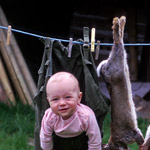 Washing Lines - Photographs by Jill Mead