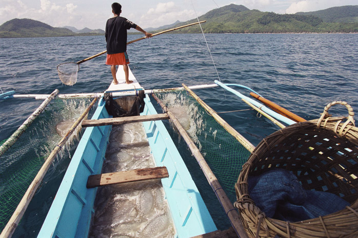 Jellyfish harvest / Palawan - Photograph by Jill Mead