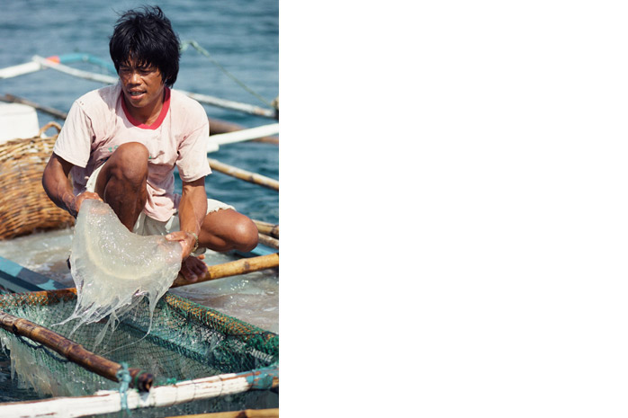 Jellyfish harvest / Palawan - Photograph by Jill Mead