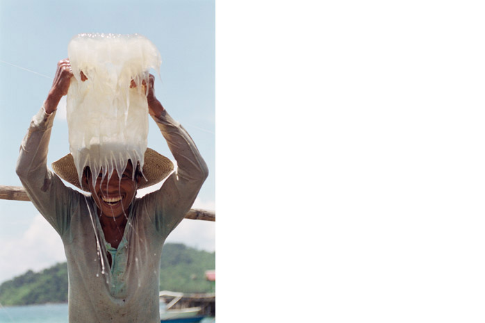 Jellyfish harvest / Palawan - Photograph by Jill Mead