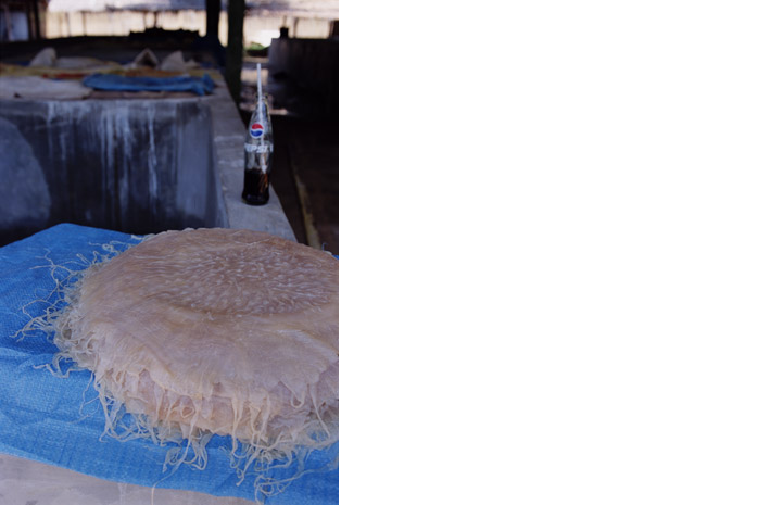 Jellyfish harvest / Palawan - Photograph by Jill Mead