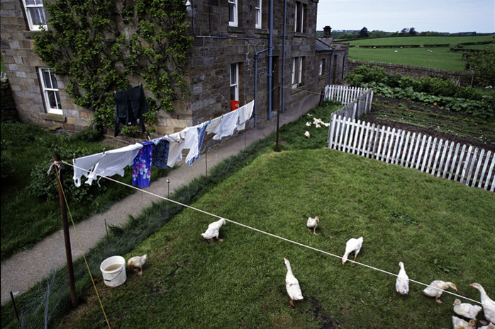 Photograph by Jill Mead