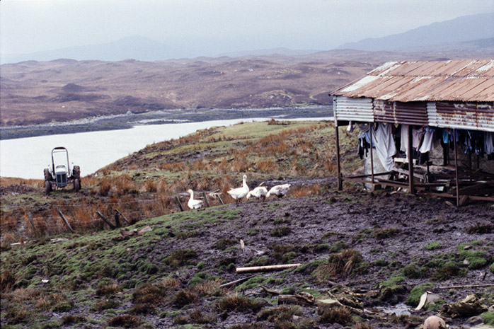 Photograph by Jill Mead