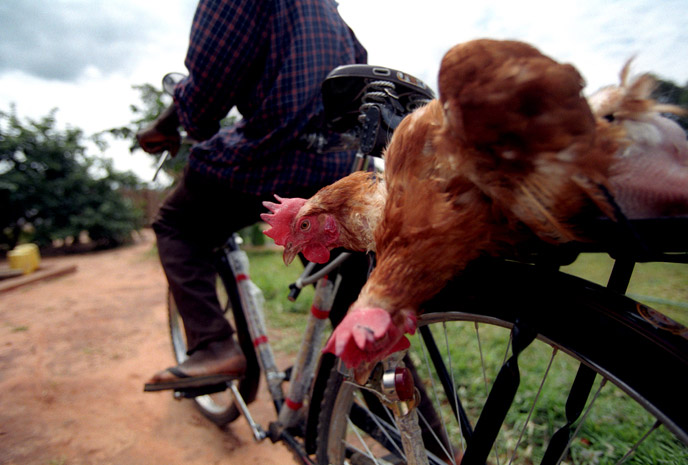 Zambia / Bodyshop - Photograph by Jill Mead