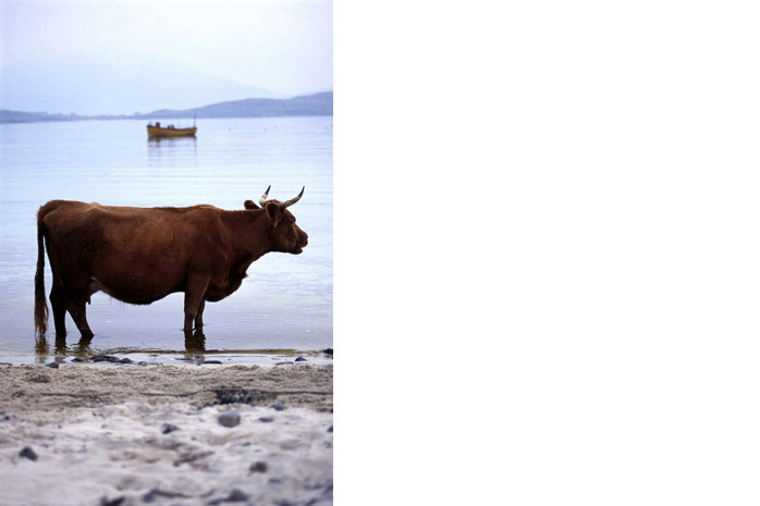 Western isles / Country Living - Photograph by Jill Mead